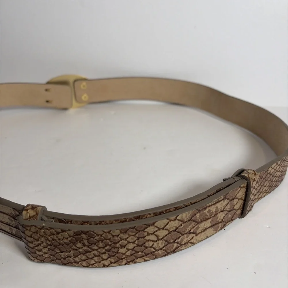 Chico's Snakeskin Pattern Leather Belt Gold Amber Lucite Buckle Adjustable M L